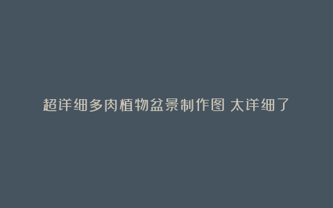 超详细多肉植物盆景制作图!太详细了!