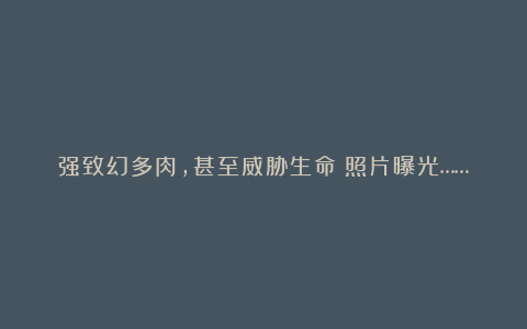 强致幻多肉,甚至威胁生命!照片曝光……