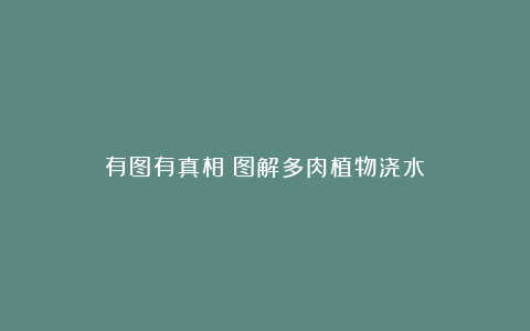 有图有真相:图解多肉植物浇水