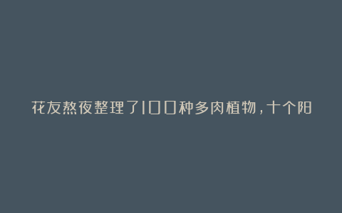 花友熬夜整理了100种多肉植物,十个阳台都盛不下!