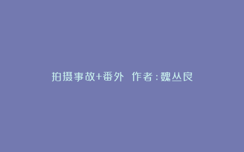 拍摄事故+番外 作者:魏丛良
