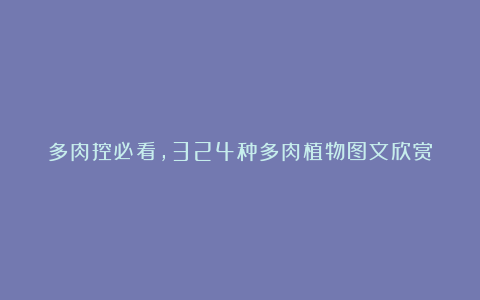 多肉控必看,324种多肉植物图文欣赏
