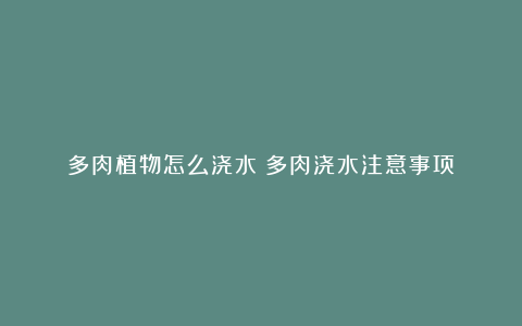 多肉植物怎么浇水?多肉浇水注意事项