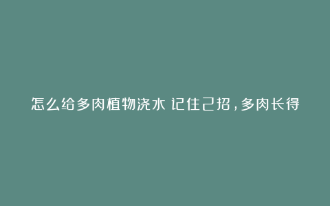 怎么给多肉植物浇水?记住2招,多肉长得快,长得胖,形成老桩