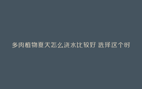 多肉植物夏天怎么浇水比较好?选择这个时间,多肉呼呼长!