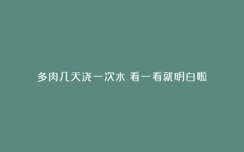 多肉几天浇一次水?看一看就明白啦