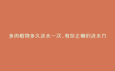 多肉植物多久浇水一次,教你正确的浇水方法