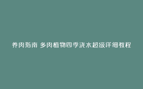 养肉指南:多肉植物四季浇水超级详细教程