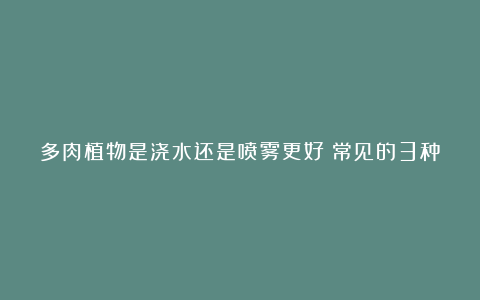 多肉植物是浇水还是喷雾更好?常见的3种浇水方式一起来看看吧!