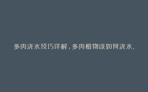 多肉浇水技巧详解,多肉植物该如何浇水、又适合浇什么样的水?