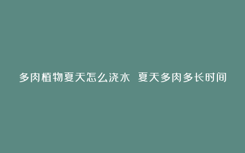 多肉植物夏天怎么浇水 夏天多肉多长时间浇水一次