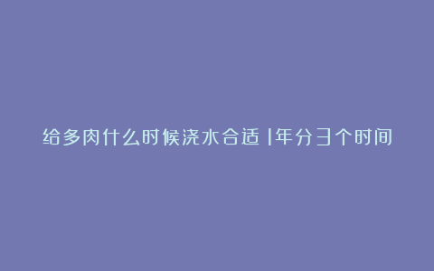 给多肉什么时候浇水合适?1年分3个时间段,做对了事半功倍