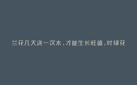 兰花几天浇一次水,才能生长旺盛,叶绿花多爆盆快