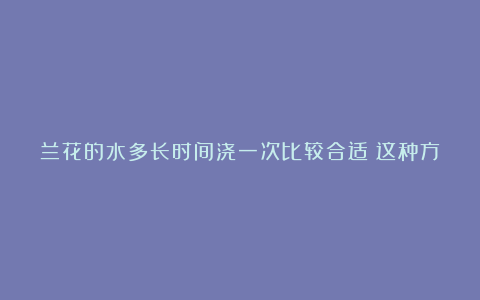 兰花的水多长时间浇一次比较合适?这种方法要学会,抓紧来看吧!