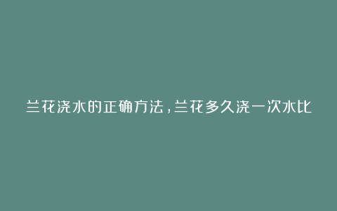 兰花浇水的正确方法,兰花多久浇一次水比较好?