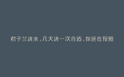 君子兰浇水,几天浇一次合适,你还在按照这个错误的方法浇水吗?