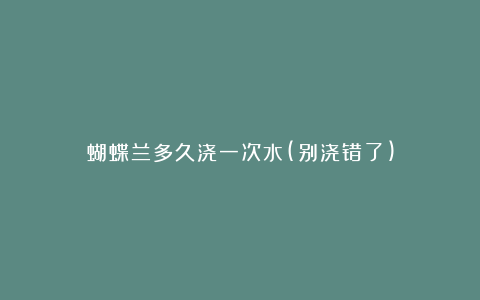 蝴蝶兰多久浇一次水(别浇错了)