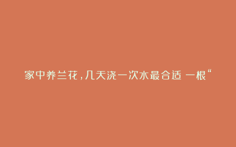 家中养兰花,几天浇一次水最合适?一根“手指”就知道