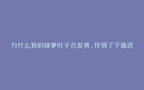 为什么我的绿萝叶子会发黄,找到了下面这6个原因