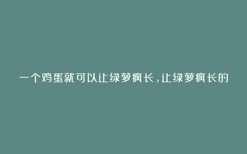 一个鸡蛋就可以让绿萝疯长,让绿萝疯长的妙招