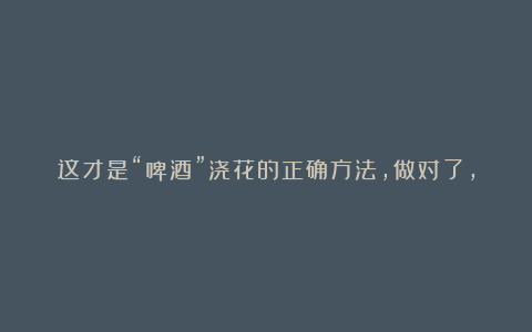 这才是“啤酒”浇花的正确方法,做对了,叶绿花多,越长越茂盛!
