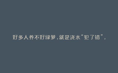 好多人养不好绿萝,就是浇水“犯了错”,教你正确浇水方法