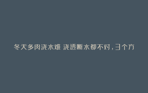 冬天多肉浇水难?浇透断水都不对,3个方法帮您解决浇水难题
