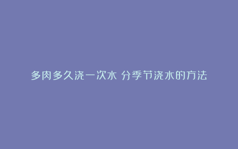 多肉多久浇一次水?分季节浇水的方法!