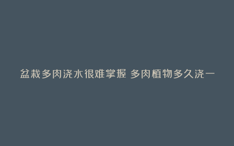 盆栽多肉浇水很难掌握?多肉植物多久浇一次水怎么浇水才适合!