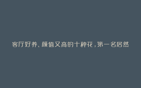 客厅好养、颜值又高的十种花,第一名居然是多肉,你养了吗?