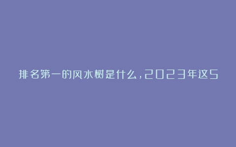 排名第一的风水树是什么,2023年这5种花不能送人,小心送走好运!