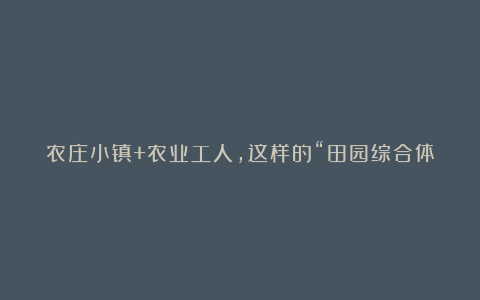 农庄小镇+农业工人,这样的“田园综合体”未来必将风靡全国