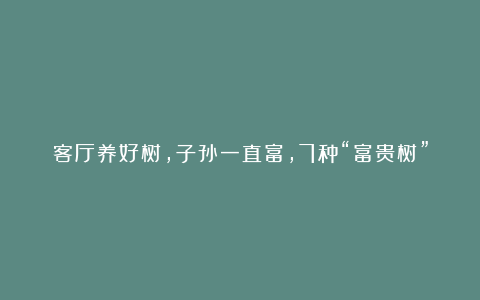 客厅养好树,子孙一直富,7种“富贵树”,高雅贵气,旺家旺后代