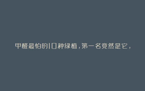 甲醛最怕的10种绿植,第一名竟然是它,绿萝排名倒数,看完赶紧收藏!