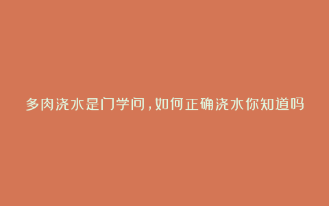 多肉浇水是门学问,如何正确浇水你知道吗?