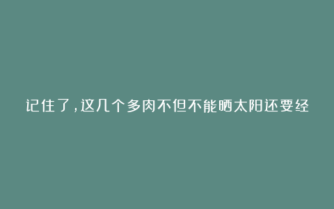 记住了,这几个多肉不但不能晒太阳还要经常保湿,否则会死光!