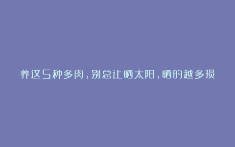 养这5种多肉,别总让晒太阳,晒的越多损失越大