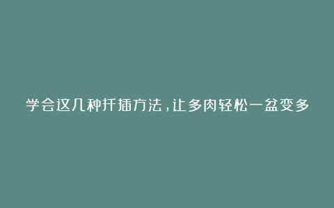 学会这几种扦插方法,让多肉轻松一盆变多盆!