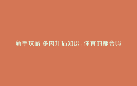 新手攻略|多肉扦插知识,你真的都会吗?