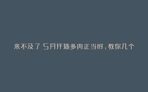 来不及了!5月扦插多肉正当时,教你几个小技巧,生根快小苗即多头