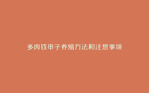 多肉钱串子养殖方法和注意事项!
