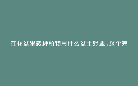 在花盆里栽种植物用什么盆土好些,这个完整的配土指南带给大家