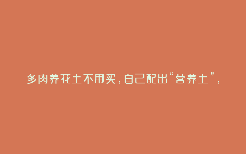 多肉养花土不用买,自己配出“营养土”,方法简单肥力好