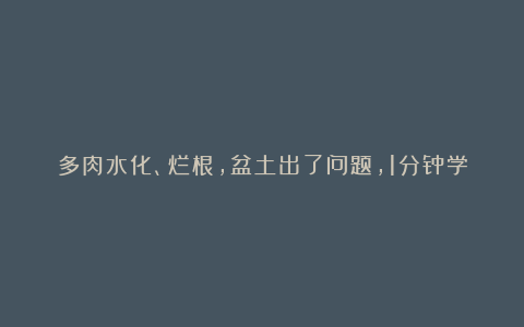 多肉水化、烂根,盆土出了问题,1分钟学会在家自制,效果好