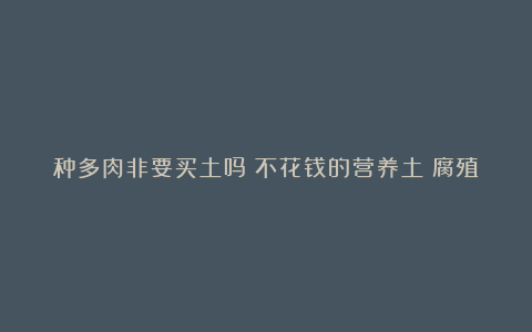 种多肉非要买土吗?不花钱的营养土:腐殖土配松针
