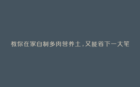 教你在家自制多肉营养土,又能省下一大笔银子!