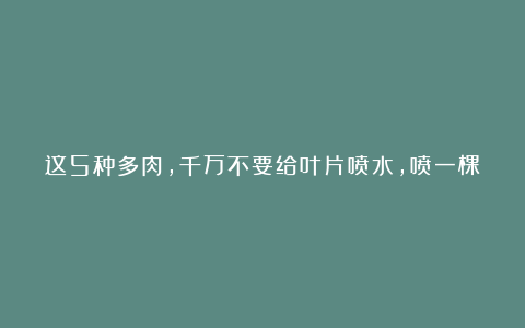 这5种多肉,千万不要给叶片喷水,喷一棵死一棵,记好了,别落下!