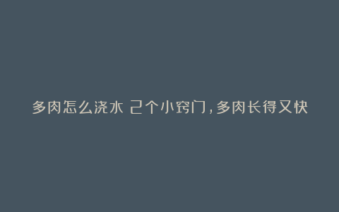 多肉怎么浇水?2个小窍门,多肉长得又快又胖,状态美极了