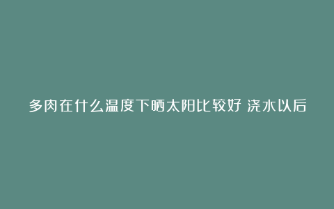 多肉在什么温度下晒太阳比较好?浇水以后可以马上晒太阳吗?