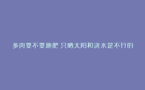 多肉要不要施肥?只晒太阳和浇水是不行的,因为它也要生长